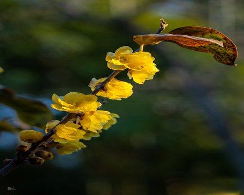 Suasana pagi yang tenang di ruang keluarga